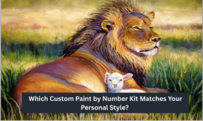 Custom Paint by Number Kit
