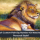 Custom Paint by Number Kit
