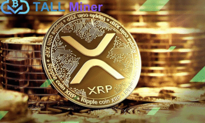 TALL Miner Cloud Contract Mining
