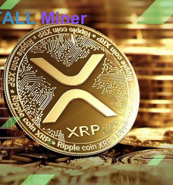 TALL Miner Cloud Contract Mining