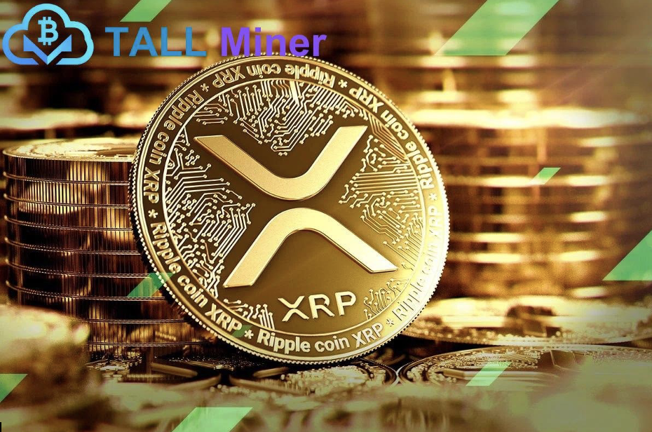 TALL Miner Cloud Contract Mining