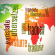 Translate Large PDF Files