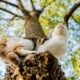 Yaheetech Multi-Level Cat Tree