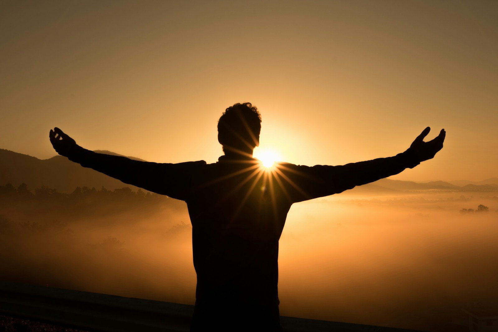Unlocking Career Success with the FMVA Certification 15 silhouette photo of man on cliff during sunset