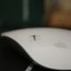 a spider on a white plate