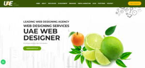 UAE Web Designer
