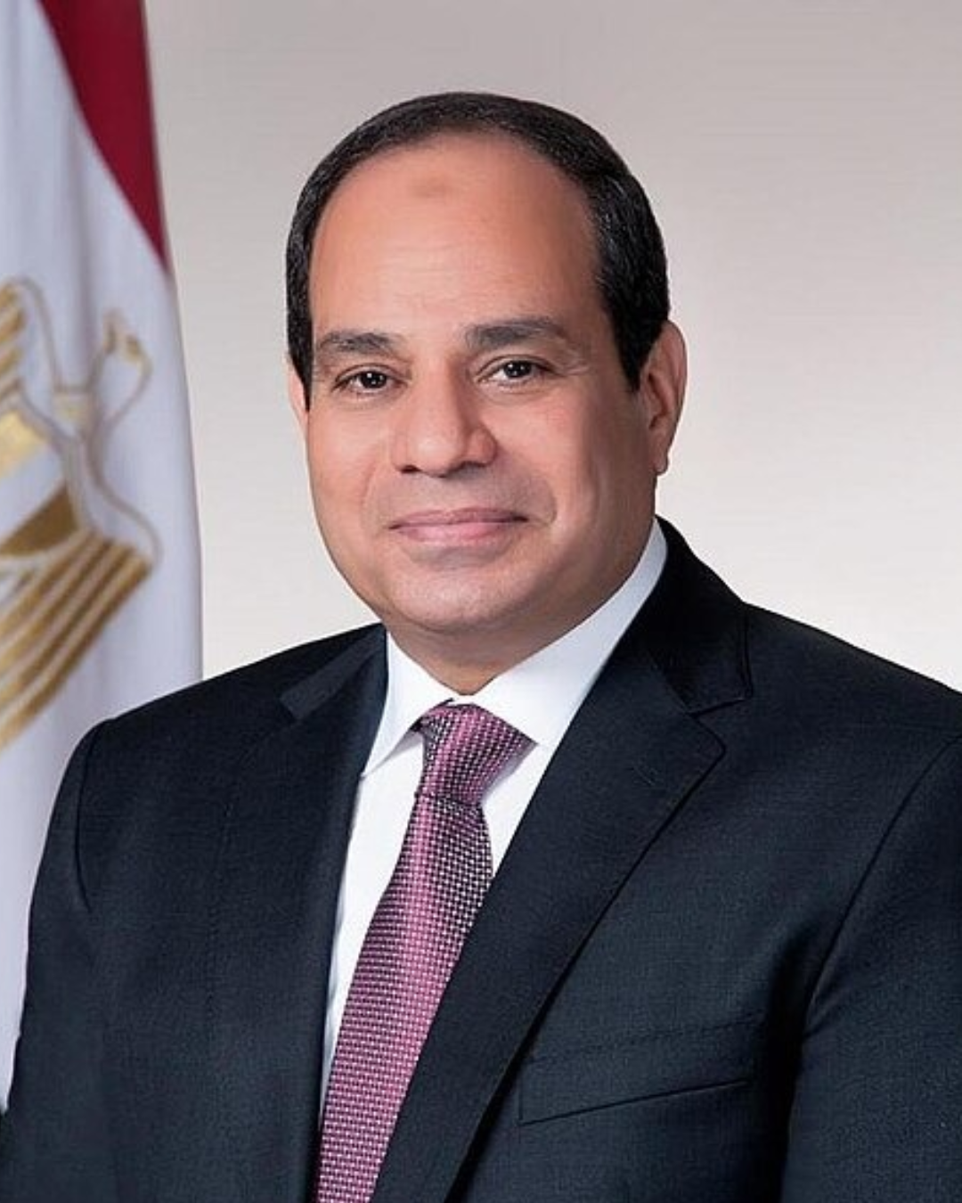 His Excellency Abdel Fattah El Sisi President of the Arab Republic of Egypt