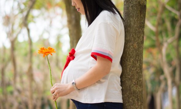 woman holding orange flower leaning on tree