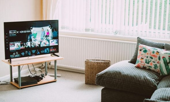 Chic and comfortable living room featuring a modern sofa, decorative pillows, and a TV streaming popular shows.