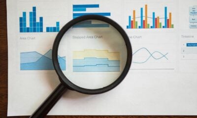 what is ziptie ai search analytics​