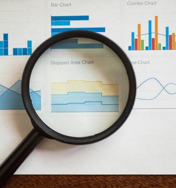 what is ziptie ai search analytics​