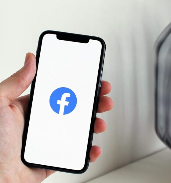 Download Facebook Videos