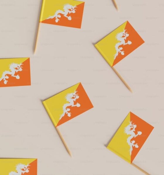 premium photo 1675367606856 2af691c5964a