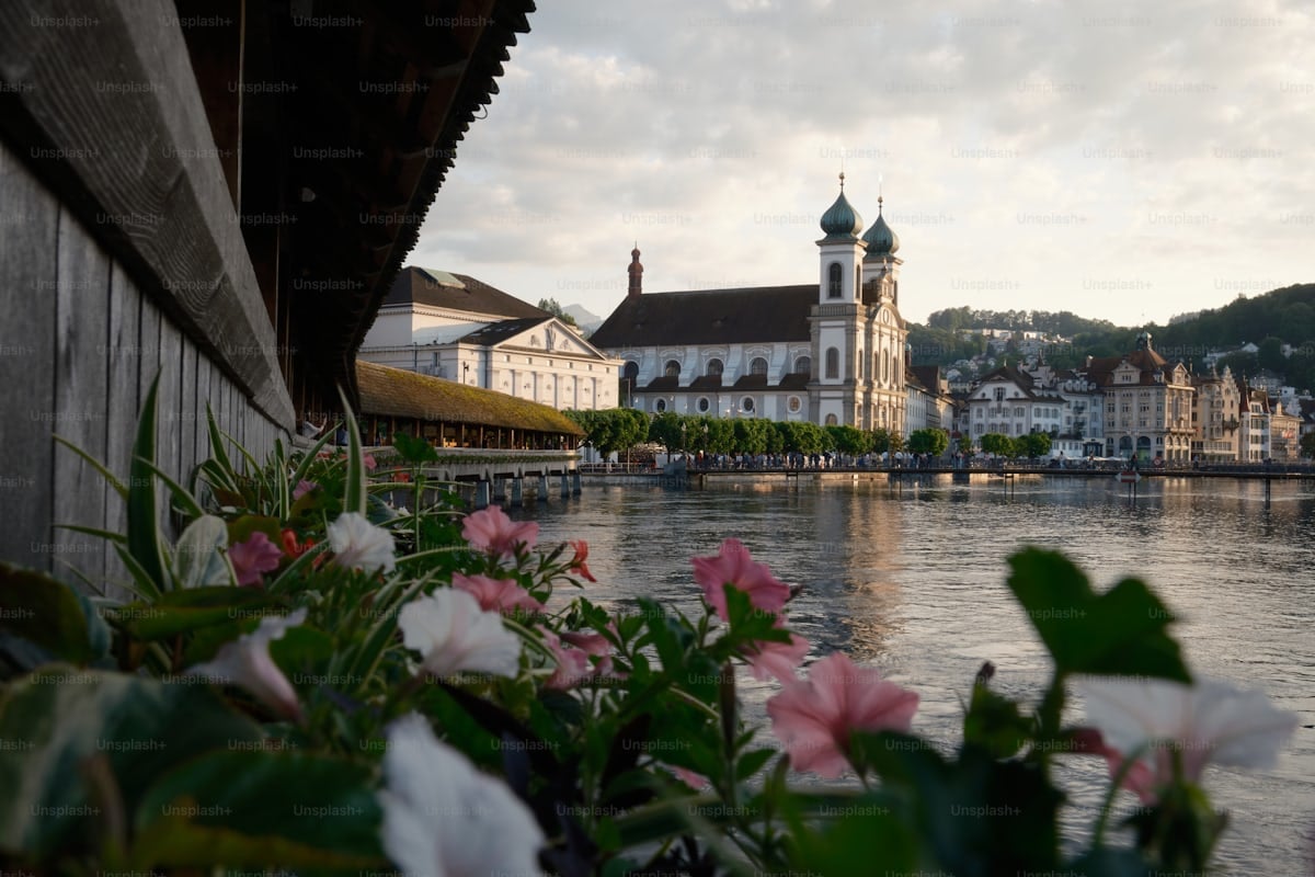 premium photo 1689805984429 85027a8051e3