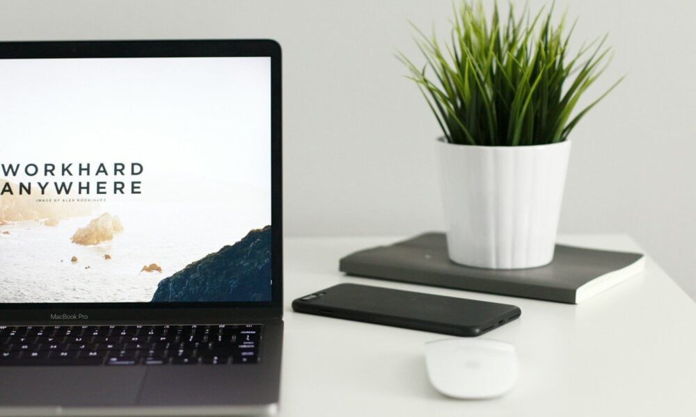 MacBook Pro near green potted plant on table