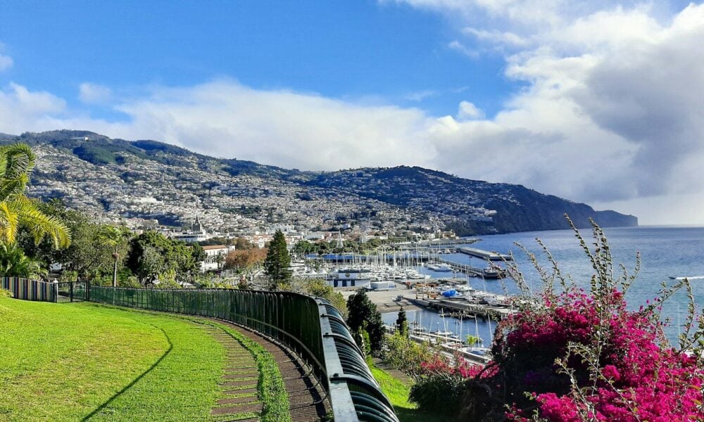 a scenic view of a city and a body of water