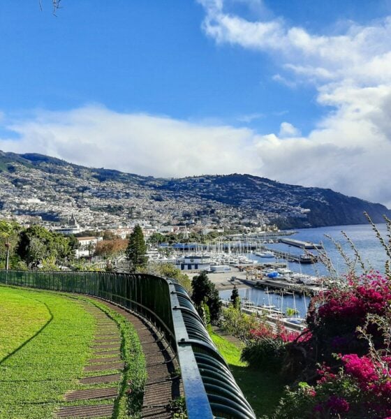 a scenic view of a city and a body of water