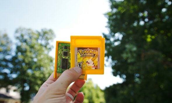 a person is holding a small yellow object