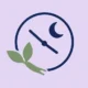 Ashwagandha vs Melatonin
