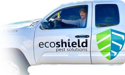 EcoShield Pest Solutions