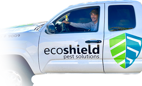 EcoShield Pest Solutions