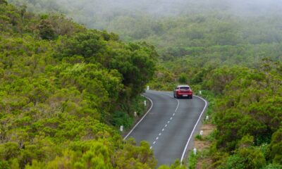 A car driving down a road surrounded by trees