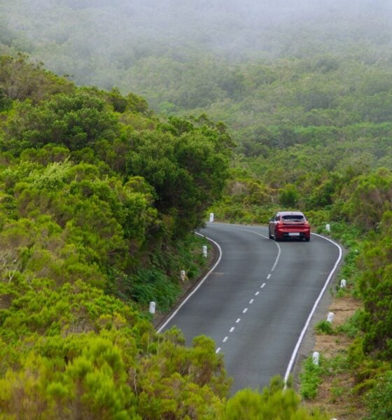 A car driving down a road surrounded by trees