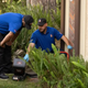 Drain and Pipe Problems