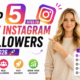 instagram followers