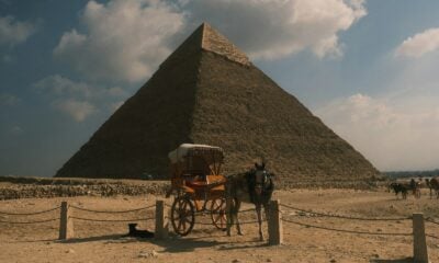 A donkey pulls a carriage in front of a pyramid.