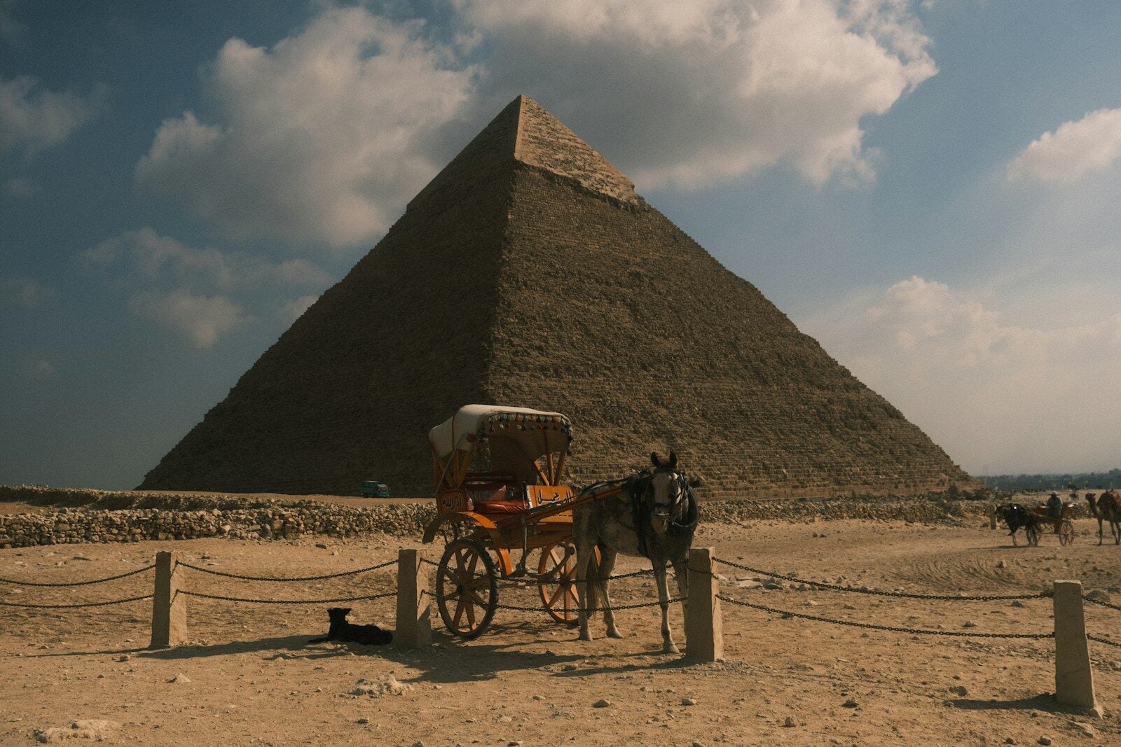 A donkey pulls a carriage in front of a pyramid.